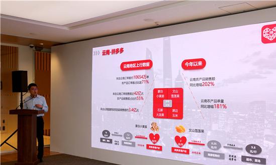 上海寻梦信息技术有限公司 数字时代的专业信息技术咨询服务